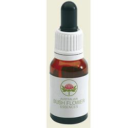 SHE OAK AUSTRALIAN GOCCE 15 ML - lepimpinelle.it