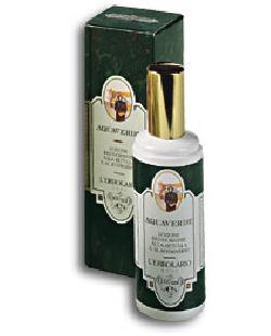 AQUAVERDE LOZIONE DEODORANTE BETULLA 100 ML - lepimpinelle.it