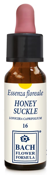 HONEYSUCKLE ORIGINAL GOCCE 10 ML - lepimpinelle.it