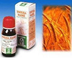 AVENA SATIVA 3 50ML TM - lepimpinelle.it