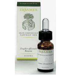 MENTA PIPERITA OLIO ESSENZIALE 10 ML - lepimpinelle.it