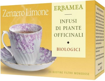ZENZERO/LIM BIO 20 BUSTINE 30 G - lepimpinelle.it