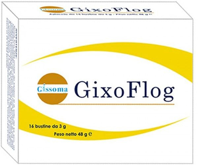 GIXOFLOG 16 BUSTINE - lepimpinelle.it