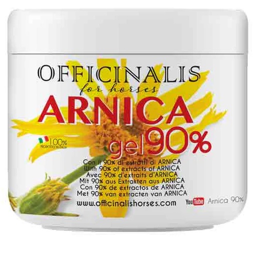 ARNICA GEL 90% 500 ML - lepimpinelle.it