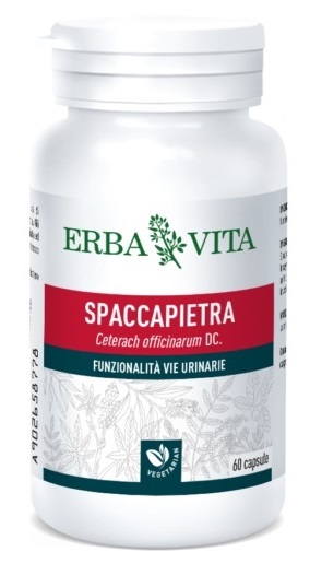 SPACCAPIETRA 60 CAPSULE - lepimpinelle.it