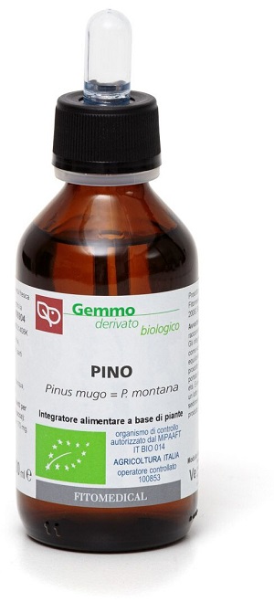 PINO MACERATO GLICERICO 100 ML BIO - lepimpinelle.it