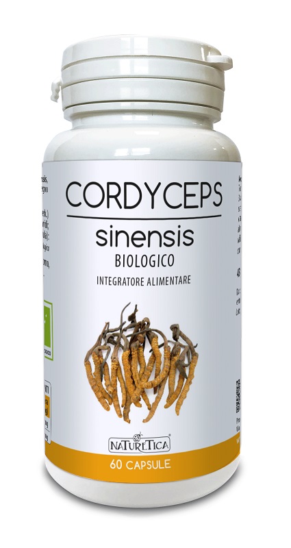 CORDYCEPS SINENSIS 60 CAPSULE - lepimpinelle.it