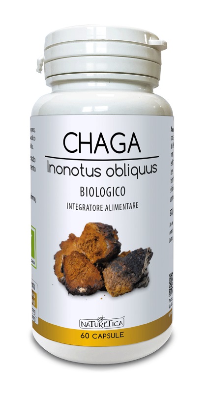 CHAGA INONOTUS OBLIQUUS 60 CAPSULE - lepimpinelle.it